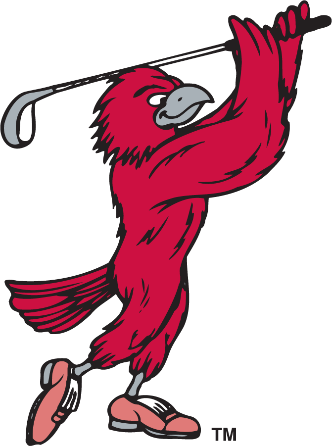 St. Joseph's Hawks 1995-2002 Secondary Logo v3 diy iron on heat transfer